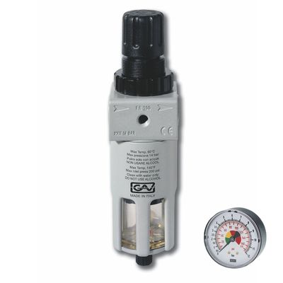 Filter & Reducer In Line 1' Regulator